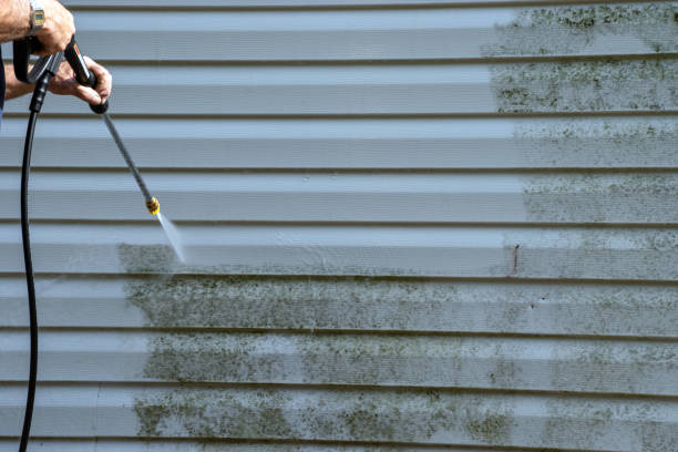 Best Stucco Siding  in Hampstead, NC